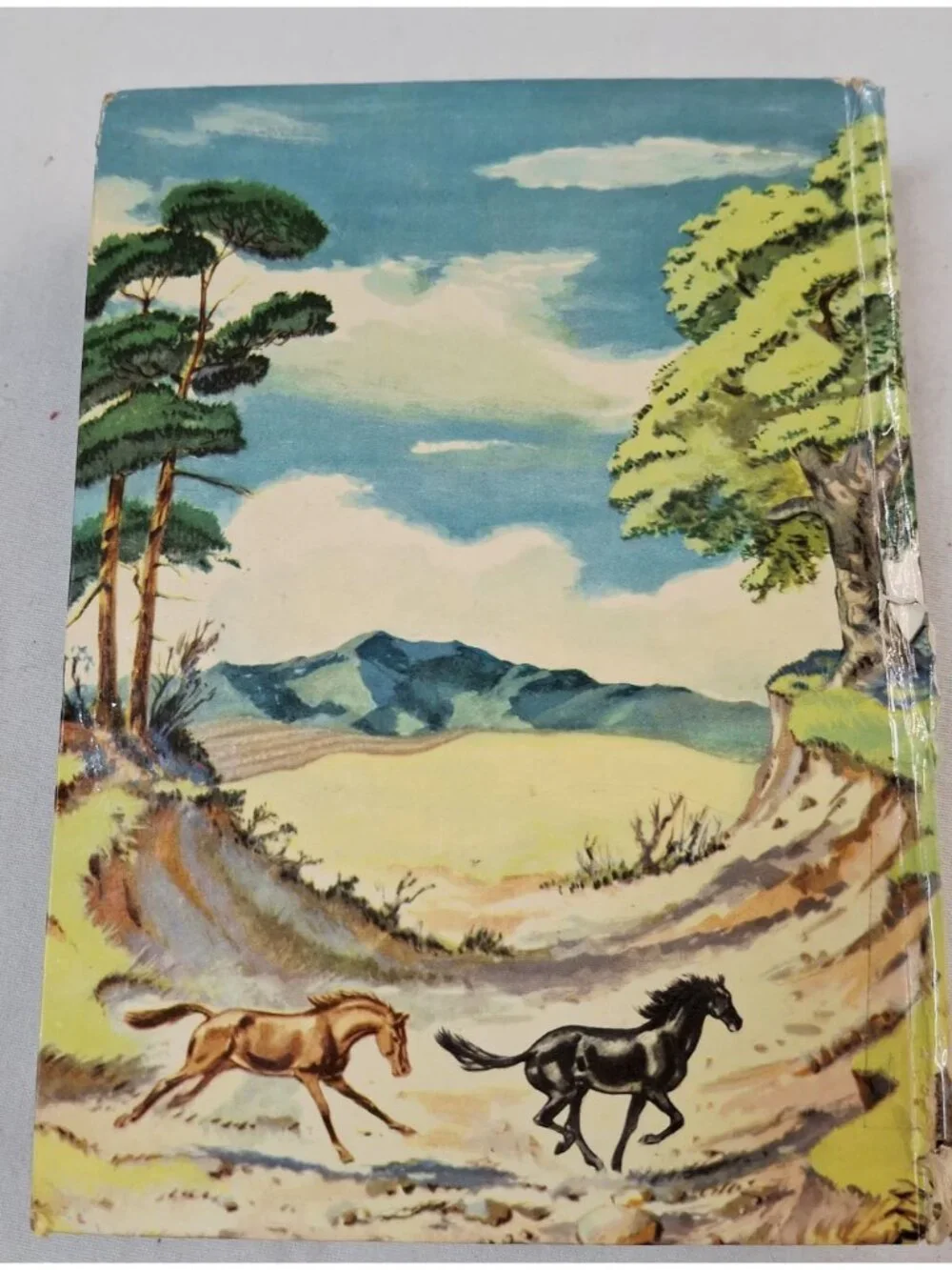 Whitman Publishing this 1955
